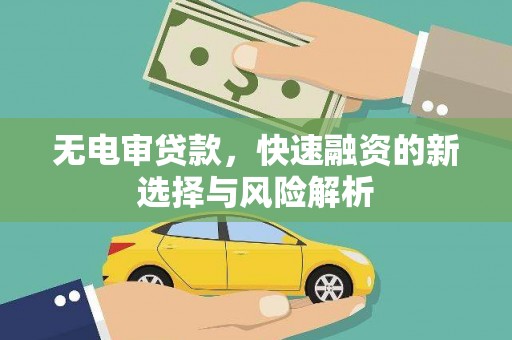苍梧无电审贷款，快速融资的新选择与风险解析