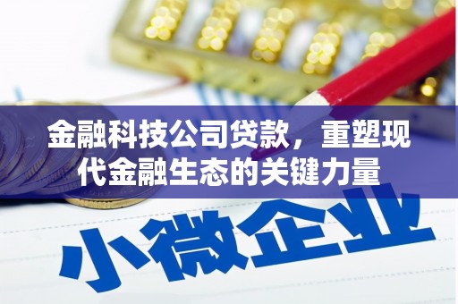 苍梧金融科技公司贷款，重塑现代金融生态的关键力量