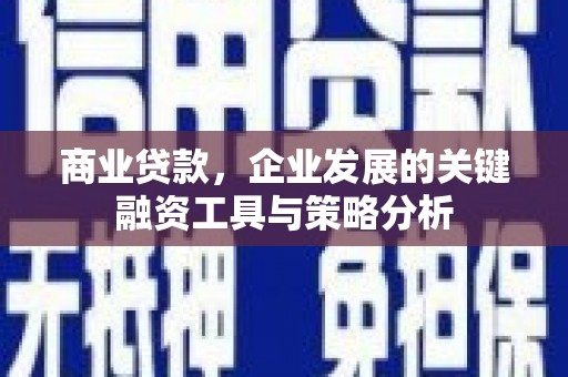 苍梧商业贷款，企业发展的关键融资工具与策略分析