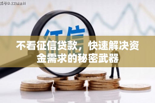 苍梧不看征信贷款，快速解决资金需求的秘密武器