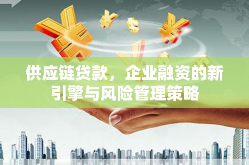 苍梧供应链贷款，企业融资的新引擎与风险管理策略