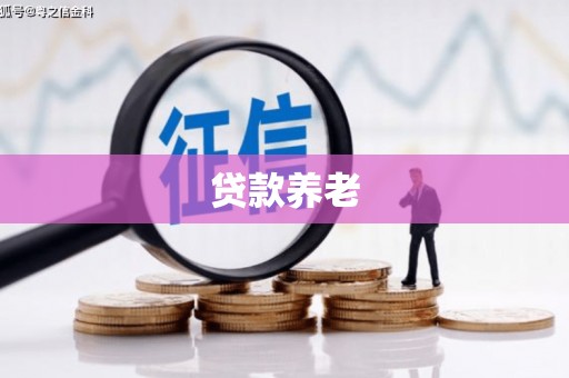 苍梧贷款养老
