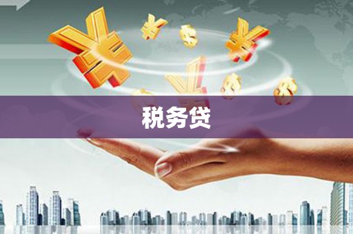 苍梧税务贷