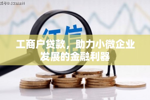 苍梧工商户贷款，助力小微企业发展的金融利器