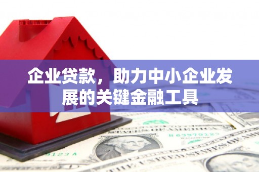 苍梧企业贷款，助力中小企业发展的关键金融工具