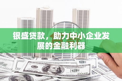 苍梧银盛贷款，助力中小企业发展的金融利器
