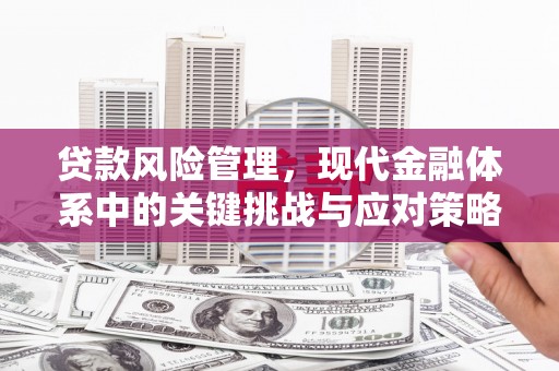 苍梧贷款风险管理，现代金融体系中的关键挑战与应对策略