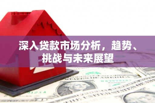 苍梧深入贷款市场分析，趋势、挑战与未来展望