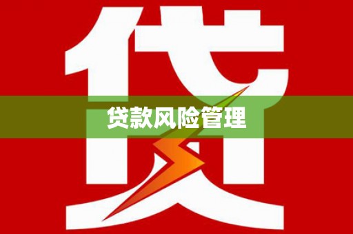 苍梧贷款风险管理