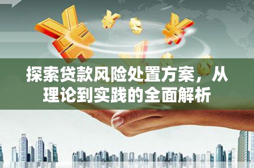 苍梧探索贷款风险处置方案，从理论到实践的全面解析