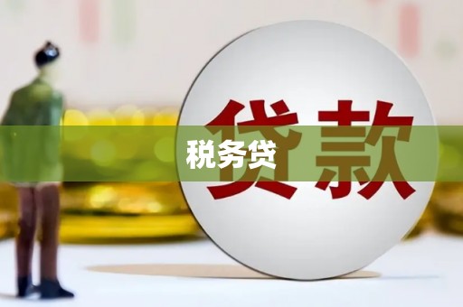 苍梧税务贷