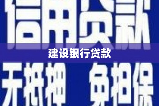 苍梧建设银行贷款
