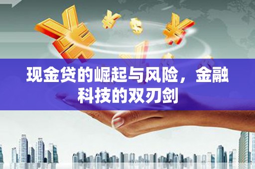 苍梧现金贷的崛起与风险，金融科技的双刃剑
