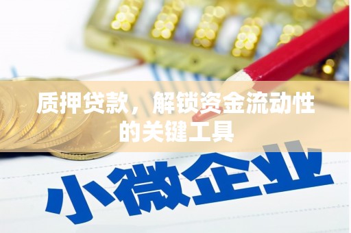 苍梧质押贷款，解锁资金流动性的关键工具