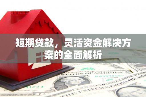 苍梧短期贷款，灵活资金解决方案的全面解析