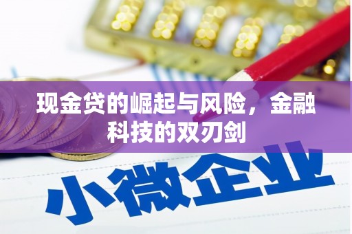 苍梧现金贷的崛起与风险，金融科技的双刃剑