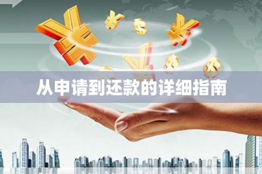 苍梧从申请到还款的详细指南
