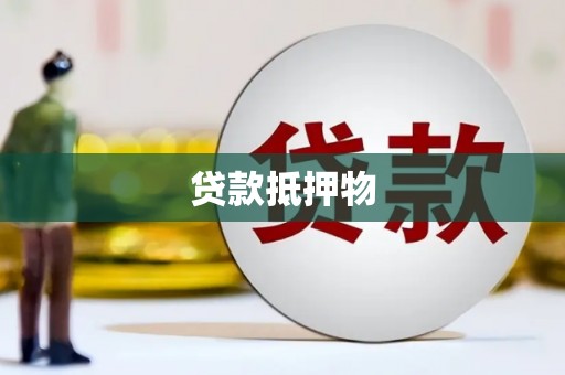 苍梧贷款抵押物