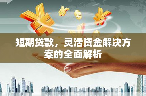 苍梧短期贷款，灵活资金解决方案的全面解析