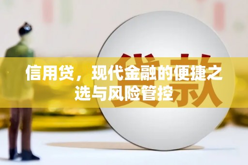 苍梧信用贷，现代金融的便捷之选与风险管控