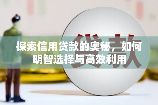 苍梧探索信用贷款的奥秘，如何明智选择与高效利用