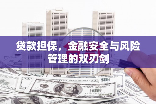 苍梧贷款担保，金融安全与风险管理的双刃剑
