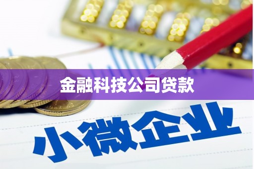 苍梧金融科技公司贷款