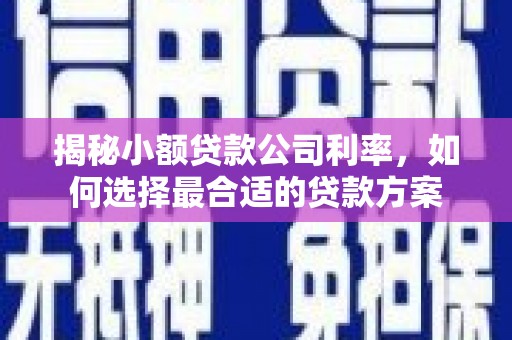 苍梧揭秘小额贷款公司利率，如何选择最合适的贷款方案