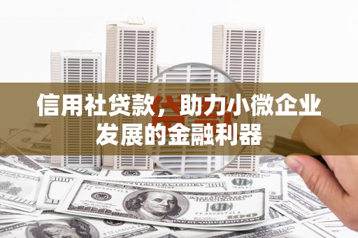 苍梧信用社贷款，助力小微企业发展的金融利器