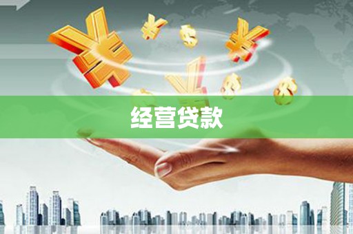 苍梧经营贷款