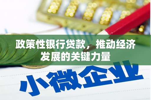 苍梧政策性银行贷款，推动经济发展的关键力量