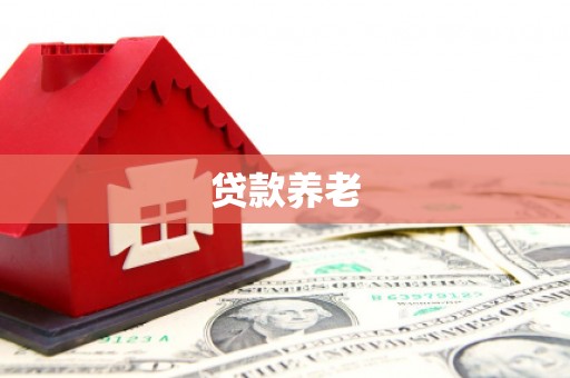 苍梧贷款养老