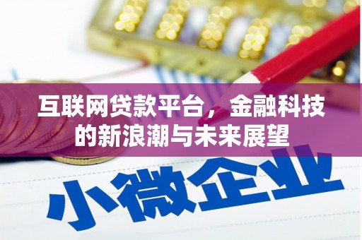苍梧互联网贷款平台，金融科技的新浪潮与未来展望