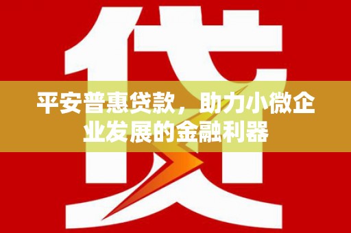 苍梧平安普惠贷款，助力小微企业发展的金融利器