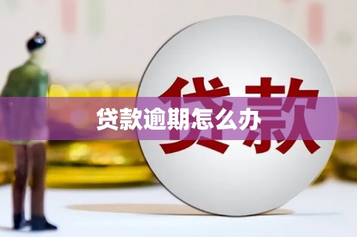 苍梧贷款逾期怎么办