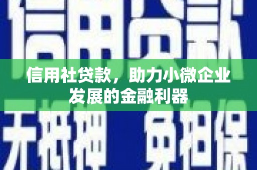 苍梧信用社贷款，助力小微企业发展的金融利器