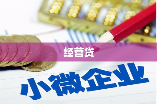 苍梧经营贷