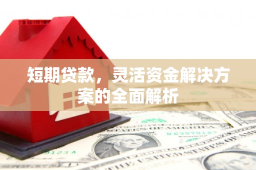 苍梧短期贷款，灵活资金解决方案的全面解析