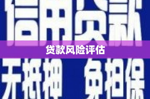 苍梧贷款风险评估