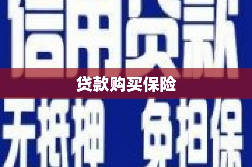 苍梧贷款购买保险