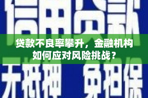 苍梧贷款不良率攀升，金融机构如何应对风险挑战？