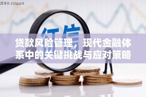 苍梧贷款风险管理，现代金融体系中的关键挑战与应对策略