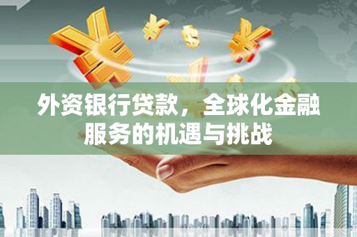 苍梧外资银行贷款，全球化金融服务的机遇与挑战