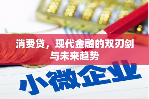 苍梧消费贷，现代金融的双刃剑与未来趋势