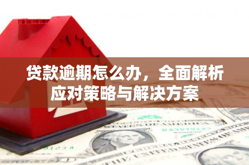 苍梧贷款逾期怎么办，全面解析应对策略与解决方案