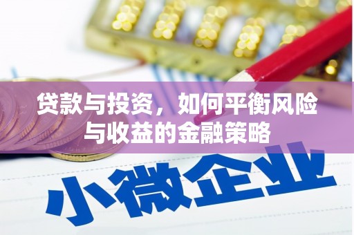 苍梧贷款与投资，如何平衡风险与收益的金融策略