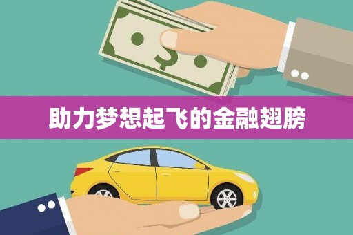 苍梧助力梦想起飞的金融翅膀