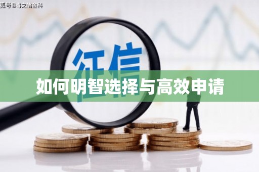 苍梧如何明智选择与高效申请