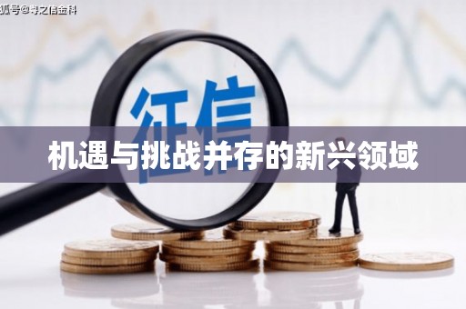 苍梧机遇与挑战并存的新兴领域