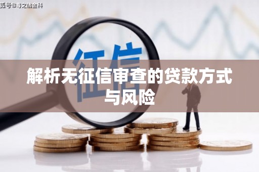 苍梧解析无征信审查的贷款方式与风险